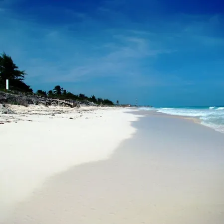 Villa Iguana (Adults Only)-2